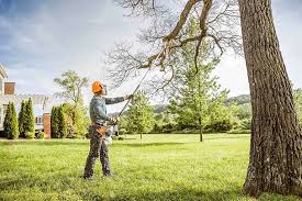 Lawn Renovation and Restoration in Tonawanda, NY
